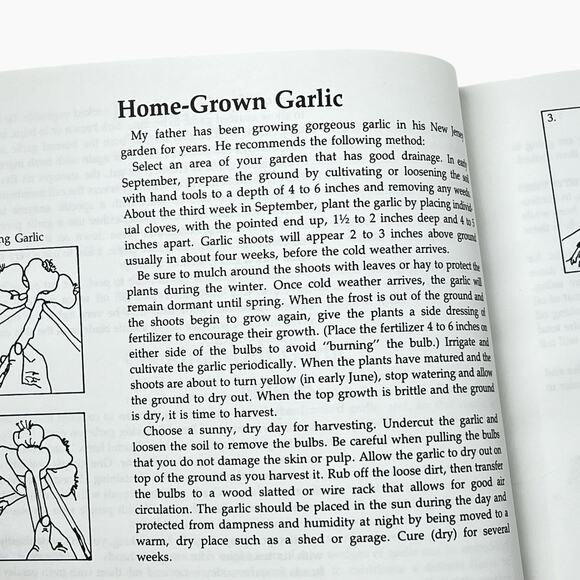Glorious Garlic A Cookbook Braida Charlene A Flavorful Recipes Meals Tasty 1992 - Picture 8 of 13